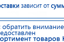 СКЭНАР-1-НТ (исполнение 02.2) Скэнар Оптима купить в Хотькове, Аппараты Скэнар купить в Хотькове, Медицинская техника - denasosteo.ru