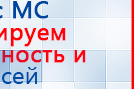 СКЭНАР-1-НТ (исполнение 01 VO) Скэнар Мастер купить в Хотькове, Аппараты Скэнар купить в Хотькове, Медицинская техника - denasosteo.ru